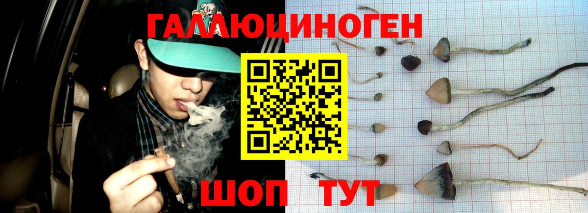 Псилоцибиновые грибы мухоморы  Вход с VPN  Псилоцибиновые грибы MAGIC MUSHROOMS  Крымск 